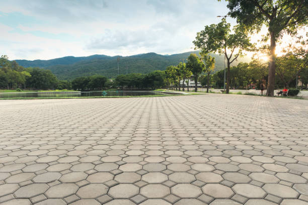 Best Driveway Paving Contractor  in Sharpsburg, NC